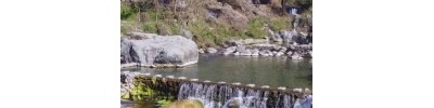 சகஸ்ரதாரா - டேராடூன்